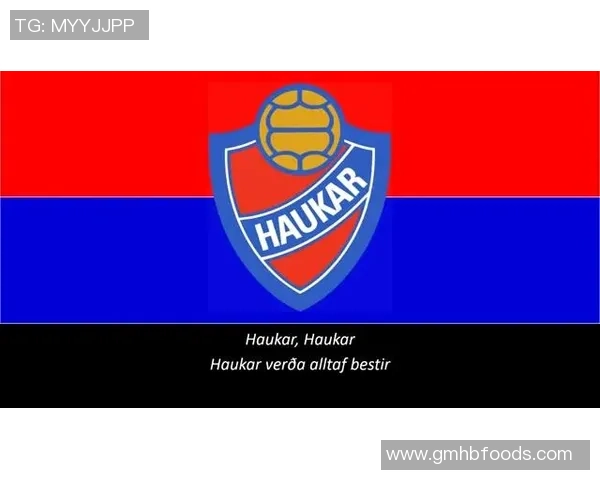 哈夫纳夫约杜尔与拉赫蒂比赛前瞻及胜负预测分析